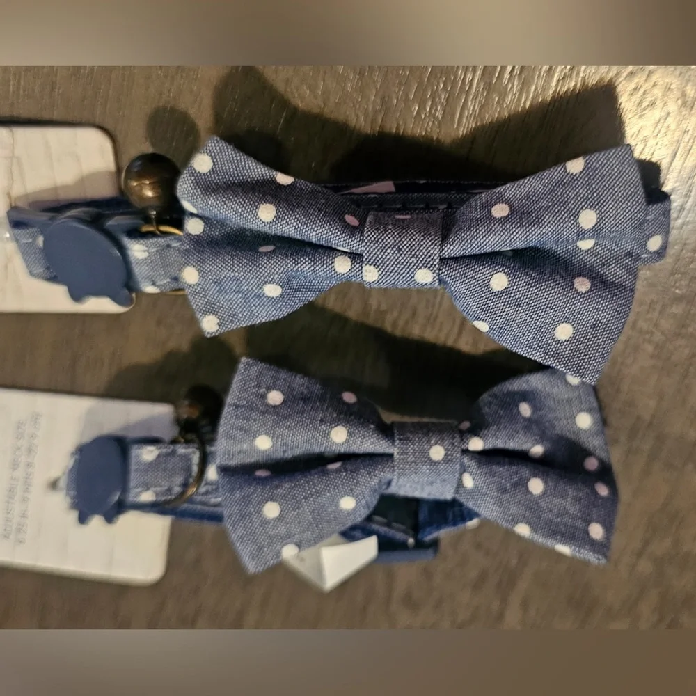 Whisker City Blue Dot Kitten OR Adult Collar (YOU CHOOSE)